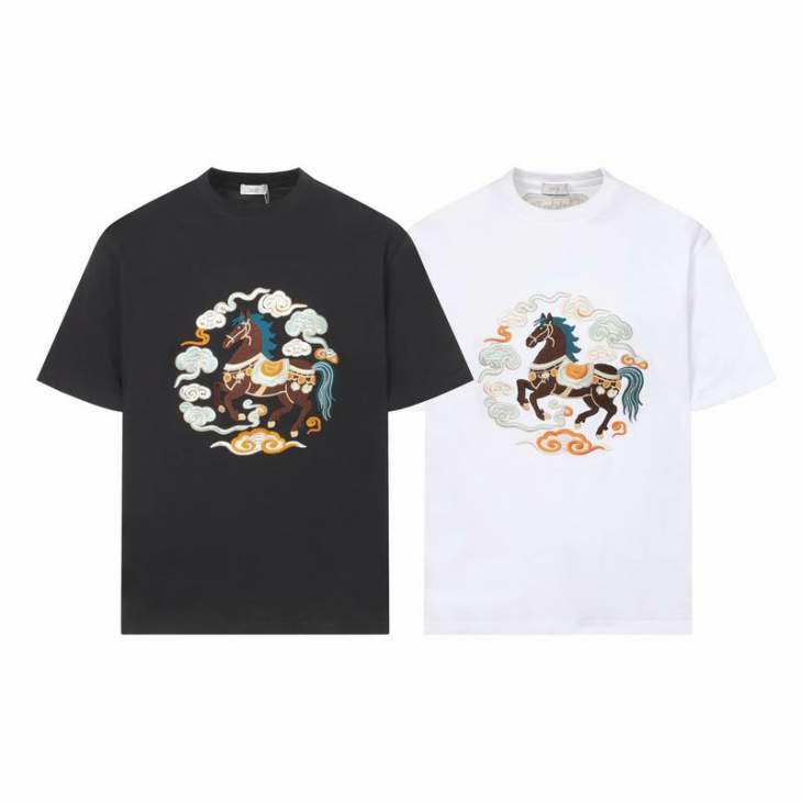Picture of Dior T Shirts Short _SKUDiorS-2XL12dtr0416163